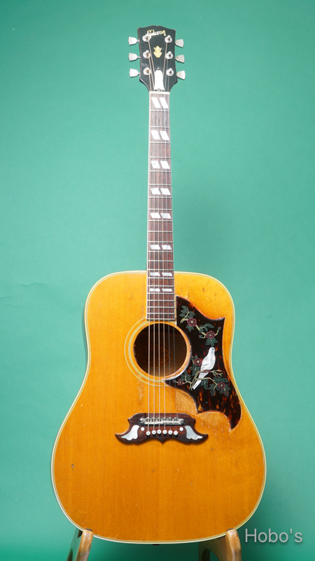 GIBSON DOVE