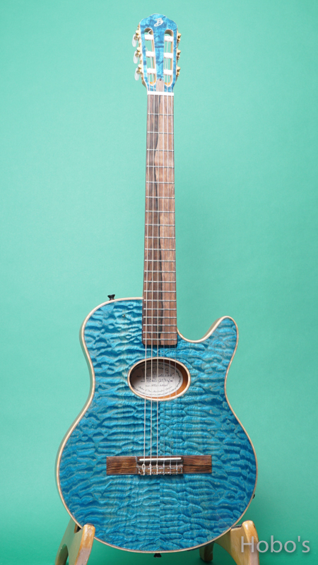 Buscarino Guitars (John Buscarino) Starlight Nylon Blue