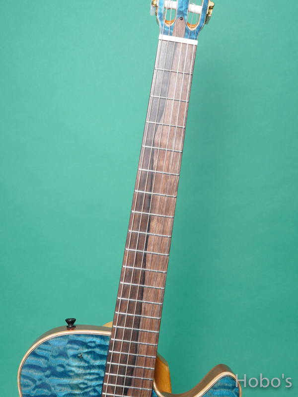 Buscarino Guitars (John Buscarino) Starlight Nylon Blue 3