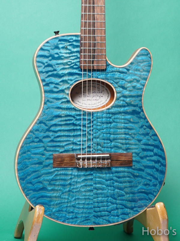 Buscarino Guitars (John Buscarino) Starlight Nylon Blue 5