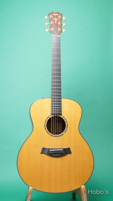 TAYLOR Custom GS “Adirondack Spruce/ Madagascar Rosewood”