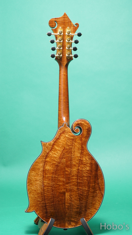 GIBSON F-5 Koa BACK