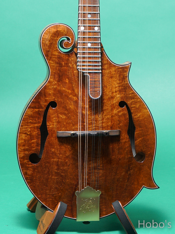 GIBSON F-5 Koa 5